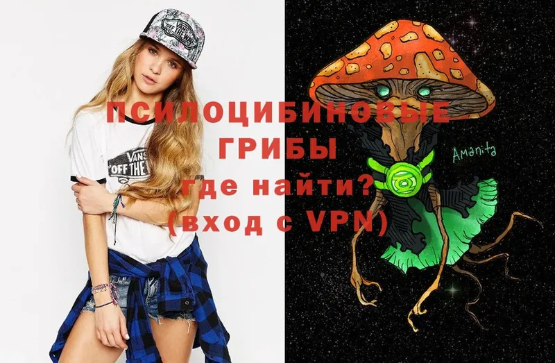 Галлюциногенные грибы Magic Shrooms  Артёмовск 